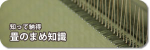 畳のまめ知識