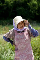 琉球畳表の生産者