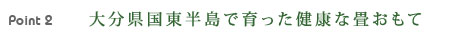 大分県国東半島で育った健康な畳表