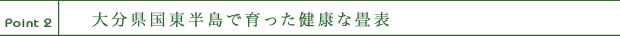 大分県国東半島で育った健康な畳おもて。