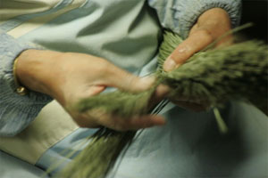 い草の色味を確認